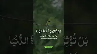 ❤🤲#shortvideo #funny #viral #love #video #youtubeshorts #reels #music #india #comedy #shorts