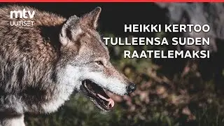 Koiraa ulkoiluttanut Heikki kertoo tulleensa suden raatelemaksi – muistoksi jäi iso haava käteen