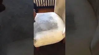 Professional Sofa Cleaning Services in Montreal