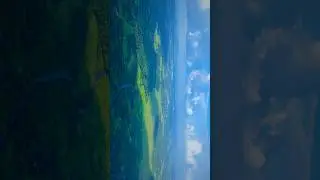 Random clip trend #travel #djiair3 #india #drone #gujarat