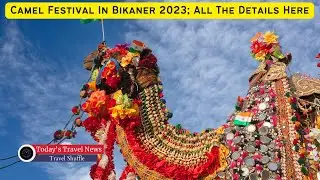 Travel News: Camel Festival In Bikaner 2023; All The Details Here #travelnews #bikaner