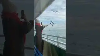 Enjoying Ferry Ride In Istanbul