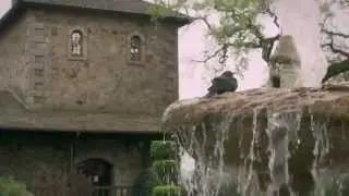 California's Wine Country - Best Winery Tours in Sonoma & Napa Valley