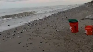 Back on the beach 