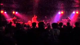 SHINER - Spook the Herd - 02/03/2001