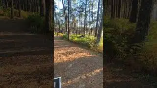 BetaFPV Pavo Pico in the Forest! - The Mini DJI Avata #pavopico