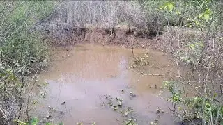 Muitos Barreiros esborotando com boas chuvas 