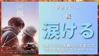 【新作映画】福士蒼汰・福原遥『楓』【感想レビュー】スピッツの名曲が生んだラブストーリー！