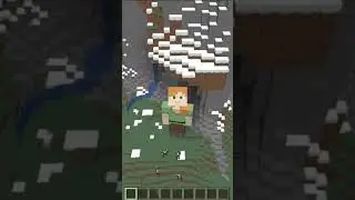 Minecraft Mobs in Real Life #shorts #minecraft