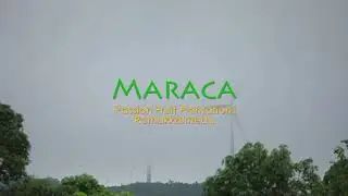 Maraca | Passion fruit | Farming | Kerala | squash