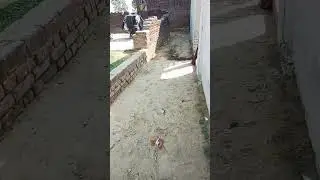 #viral #familyblock