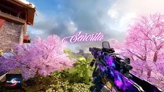 BO3 Gun Sync - Se&ntilde;orita - Shawn Mendes, Camila Cabello ( Vlt Remix)
