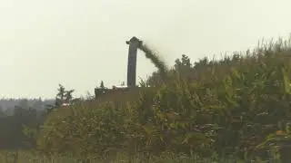 Neues von der Raubkatze in Thermenregion Oststeiermak  mit Claas Jaguar 970 mit Orbis 750 beim Mais
