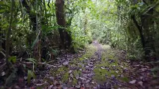 Riverside Pathway, El Monte Sustainable Lodge, ECU