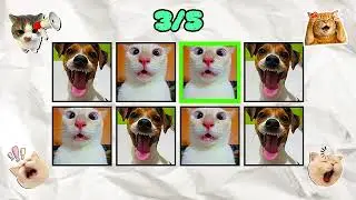 Say the word on beat | Levels Easy Medium & Hard | Interactive challenge