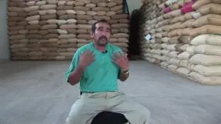 Así se produce el café orgánico de Chiapas