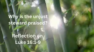 Why is the unjust steward praised Reflection on Luke 16 : 1- 9