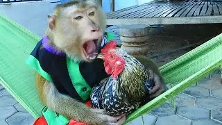What Is Wrong ! SokYaa Hug ToTo On The Hammock Well