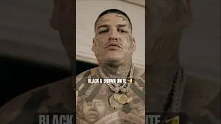 Black & Brown Unite on &ldquo;Stoopid&rdquo; by Lefty Gunplay Ft. Hitta J3 &bull; YS & Bozo 🫡🔥