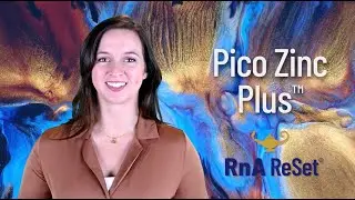 Pico Zinc Plus&trade; - The Powerful Zinc Formula for Overall Health EN Support