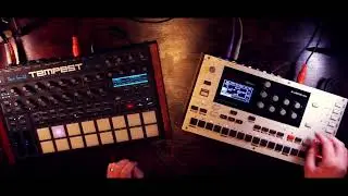 Rising of the Lights | DSI Tempest and Elektron Monomachine demo