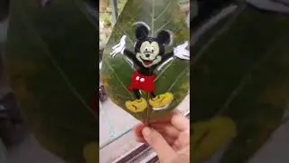 Mickey mouse drawing on leaf 🌿🍀