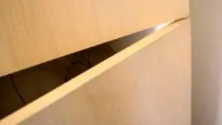 My cabinet door DOESN'T sound like Chewbacca