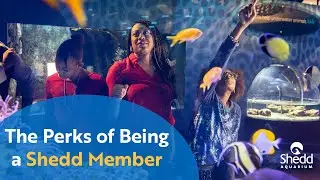 The Perks of Being a Shedd Member