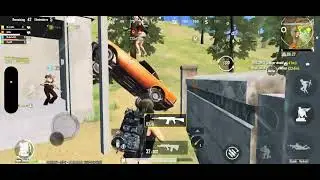 clips