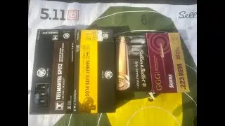 Does more expensive ammo group better? GGG, RWS, S&B test in 223 rem.