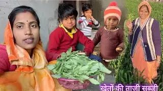 आज अर्चना लेकर आई खेतों में से ताजी ताजी सब्जी बहुत ही अच्छी हरि हरि ☺️ Archana Indian village life 
