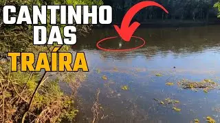 Pescaria de TRA&Iacute;RA no SALTO CAVEIRAS- LAGES SC, ISCA ARTIFICIAL DE BARRANCO