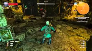 The Witcher 3 - Sarasti - PS4
