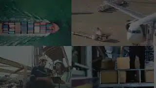 video flogal