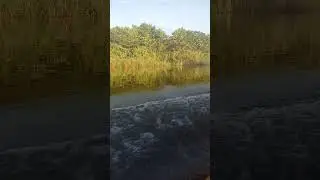 going up to kiunga fly River