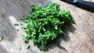 Cleavers- Perfect  Spring Tonic And Cleanse from Nature #herbalism #foraging