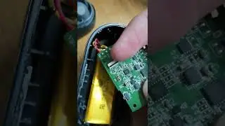 Skullcandy Sesh Evo Case DEAD - FIX