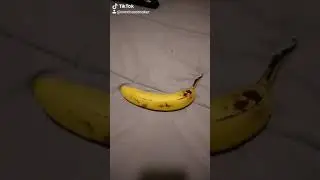 How to make banana pipe 🍌🔥 | Pepe A.K.A MexicanSmoker
