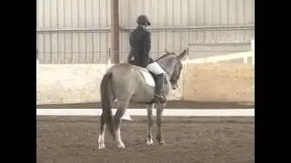 Incognito - 8 year-old Mule doing Dressage