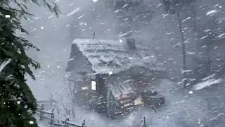 BRUTAL WINTER BLIZZARD Ambience &ndash; Savage Snow Storm Sounds for Sleeping & Sleep ASMR