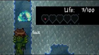 A Random Terraria Shitpost