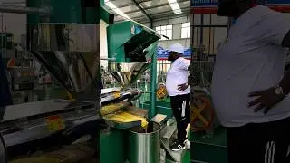 Screw oil press machine to cold press sunflower oil for Kenya customer #oilpress #sunfloweroil