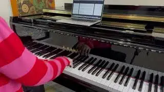 A Marshmallow World  |  early intermediate piano solo |  sheet music link below