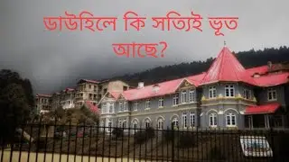 DOWHILL TRIP | HAUNTED PLACE | PINE FOREST