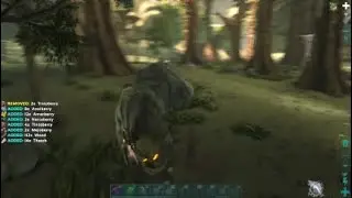 Ripp rollrat