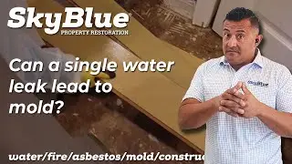 Water leak causes mold in Irvine home - Sky Blue Restorations solves the problem - 949 422 3419