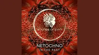 In The Past (Extended Mix)