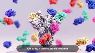 Farmacologia per principianti - ADME Parte 2