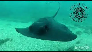 Try scuba dive tresure in Spain, DC Scuba Diving 