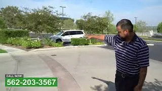 Commercial Landscaper Whittier CA (562) 203-3567
